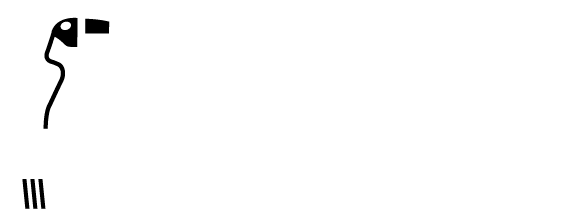 Aves y Conservación