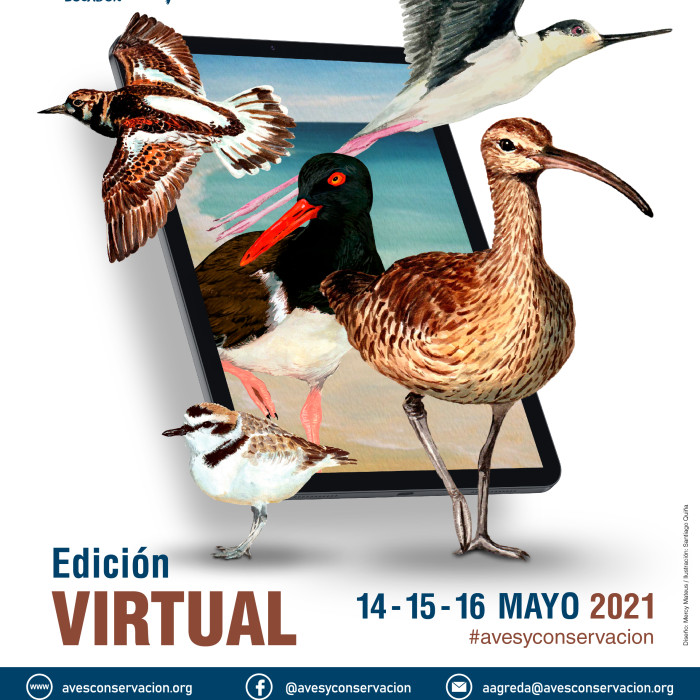 Afiche 4to Festival Aves Playeras 2021-01