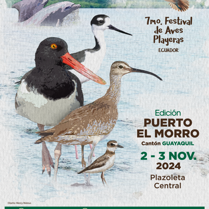 Afiche 7mo. Festival Aves 2024