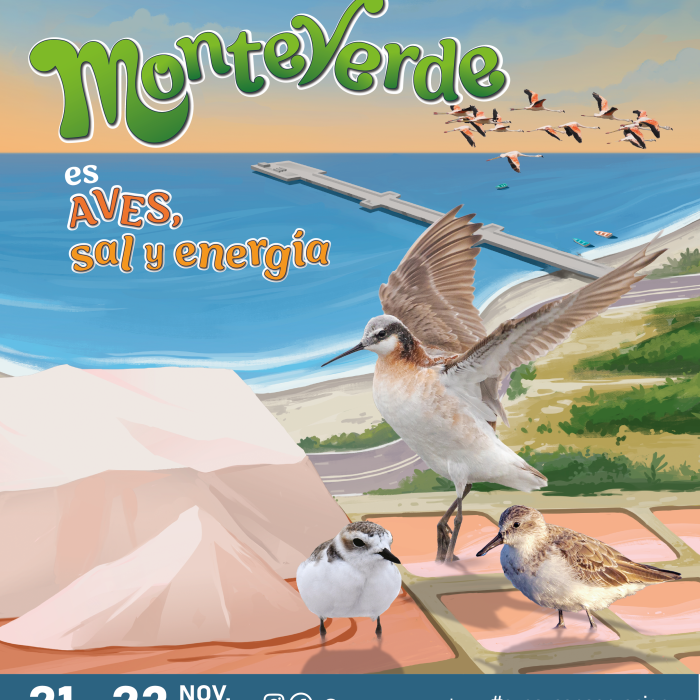 Afiche Oficial 8vo FAP-01 (FACEBOOK)