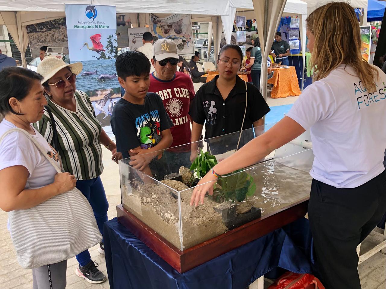 Aquaforest VII Festival