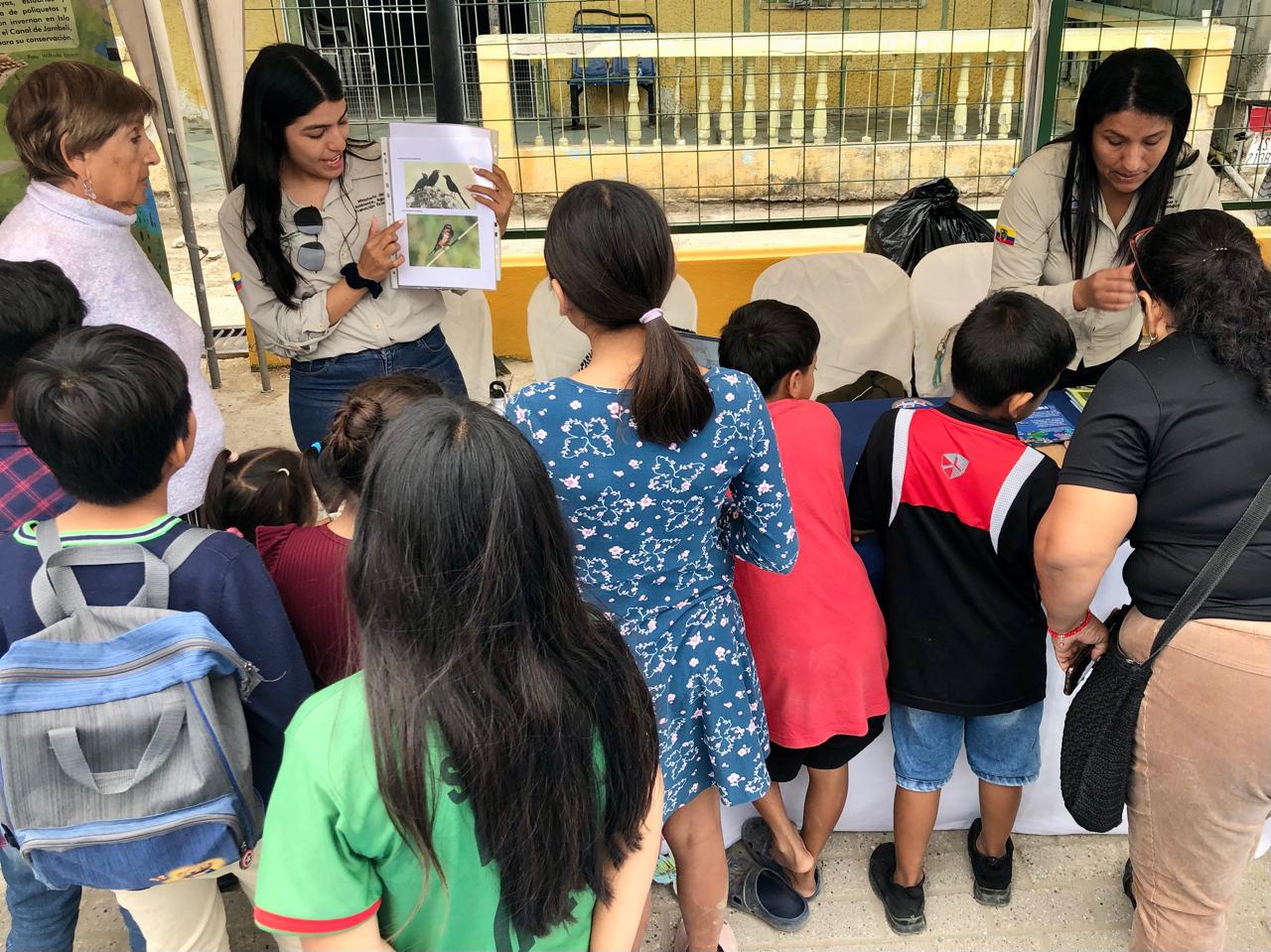 Area protegida VII Festival