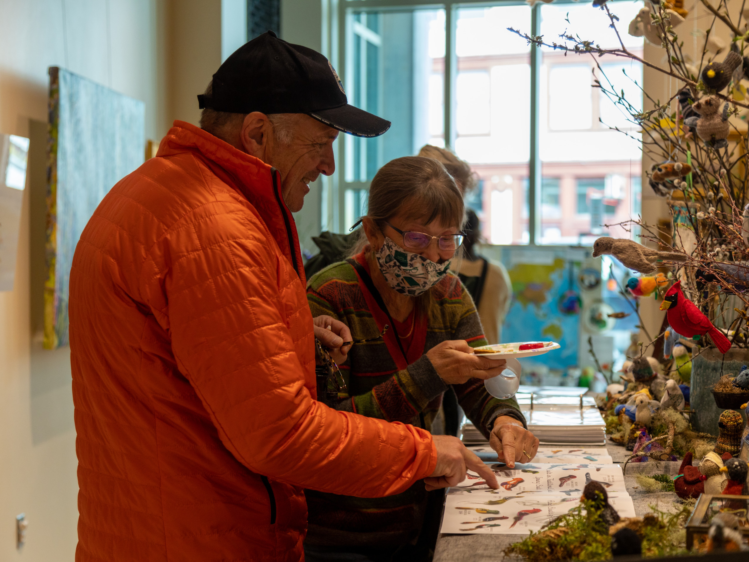 El arte como forma de sensibilizar sobre las aves playeras (@US Forest Service)