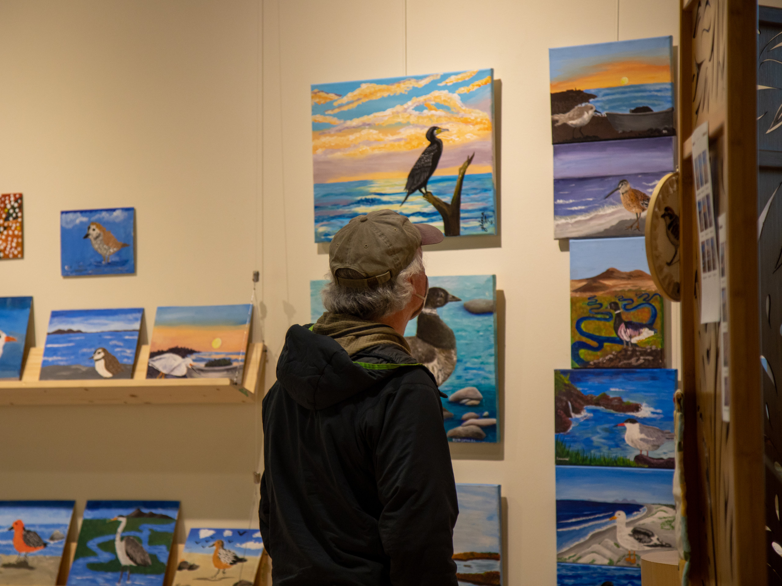 El arte como forma de sensibilizar sobre las aves playeras (@US Forest Service)