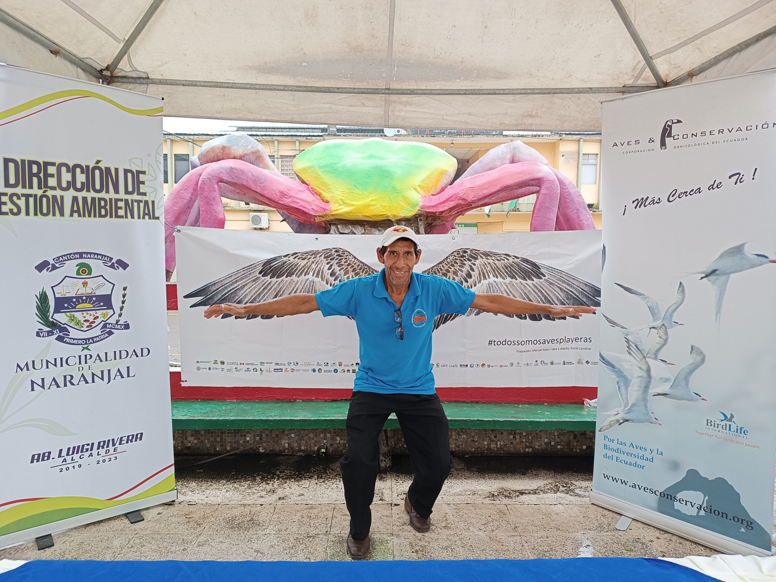 Festivales de Aves Playeras en Ecuador (@Aves y Conservación)