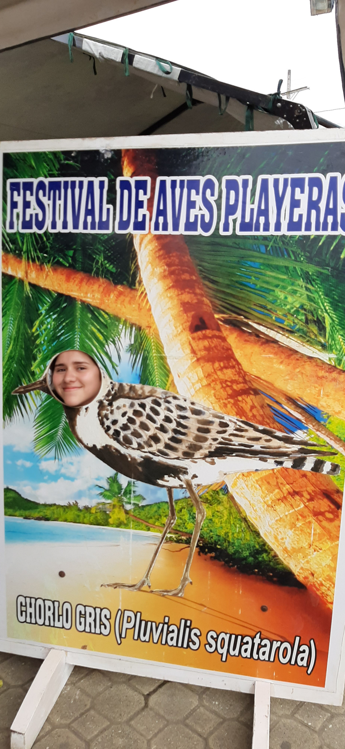 Selección Festival 007