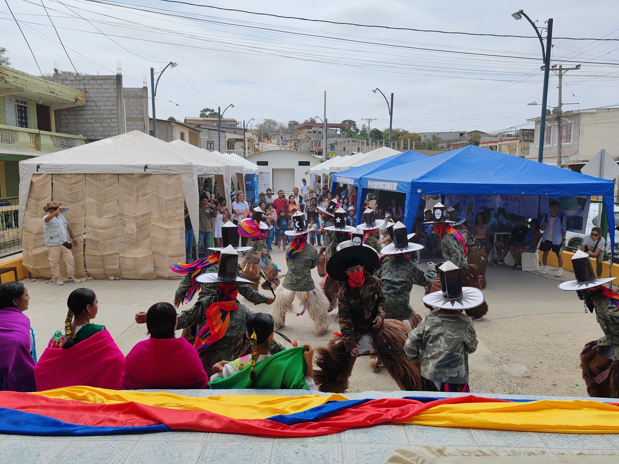 VII Festival de Aves El Morro