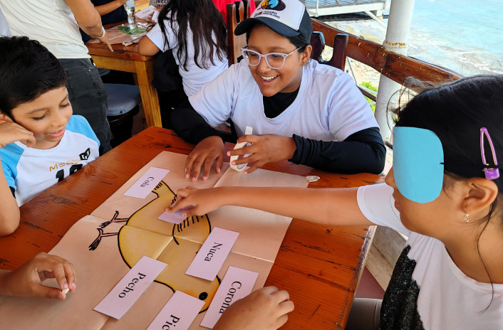 Aprendizaje sobre aves urbanas y representación de las amenazas durante la migración