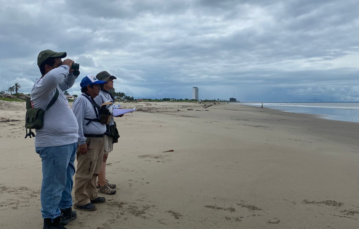 2025_AyC_Exploración ANRPV_Danixa Del Pezo