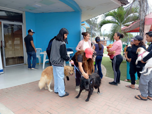 Campaña de esterilización Monteverde
