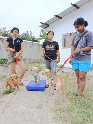 Campaña de esterilización San Pablo
