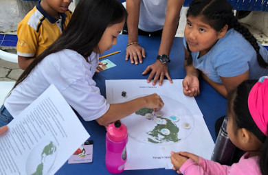 Ejecución de actividades del manual Celebra las Aves Urbanas