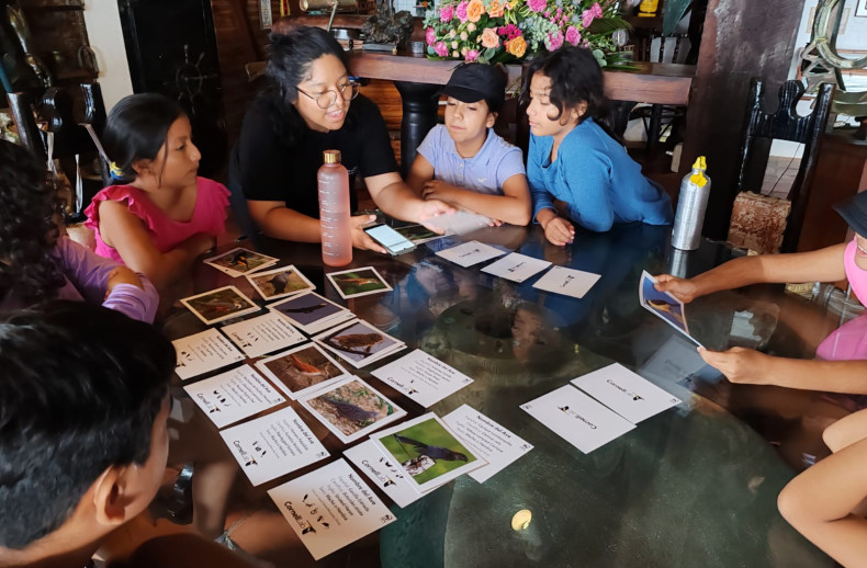 Actividad sobre reconocimiento de las partes de aves y juegos en equipo