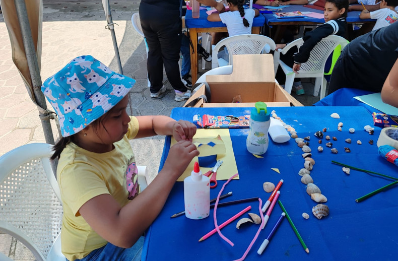 Actividad sobre reconocimiento de las partes de aves y juegos en equipo