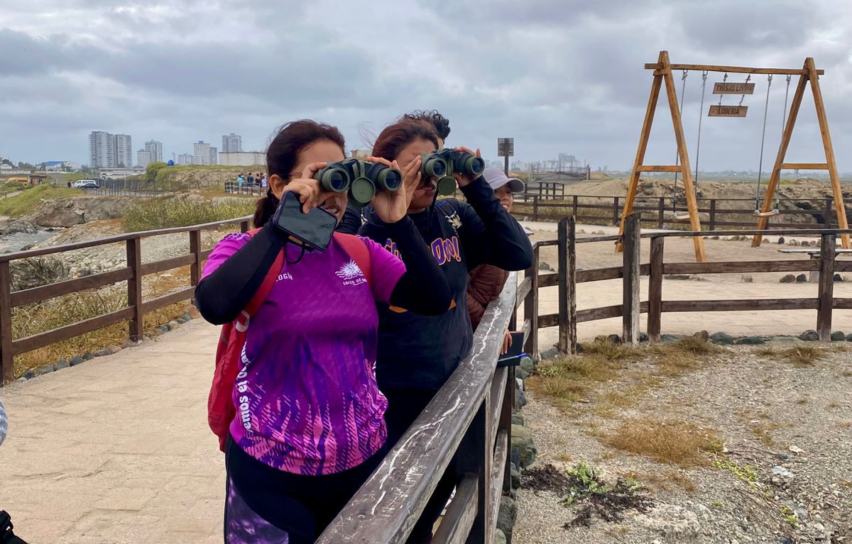 WhatsApp Image 2025-05-14 at 12.38.54 (1)